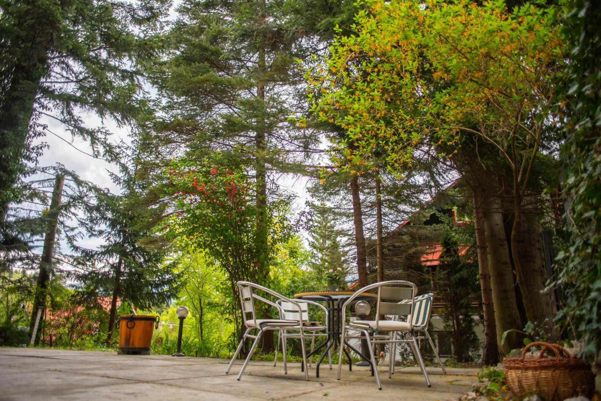 Villa Sara In Sinaia Near Peles & Gondola Ngoại thất bức ảnh