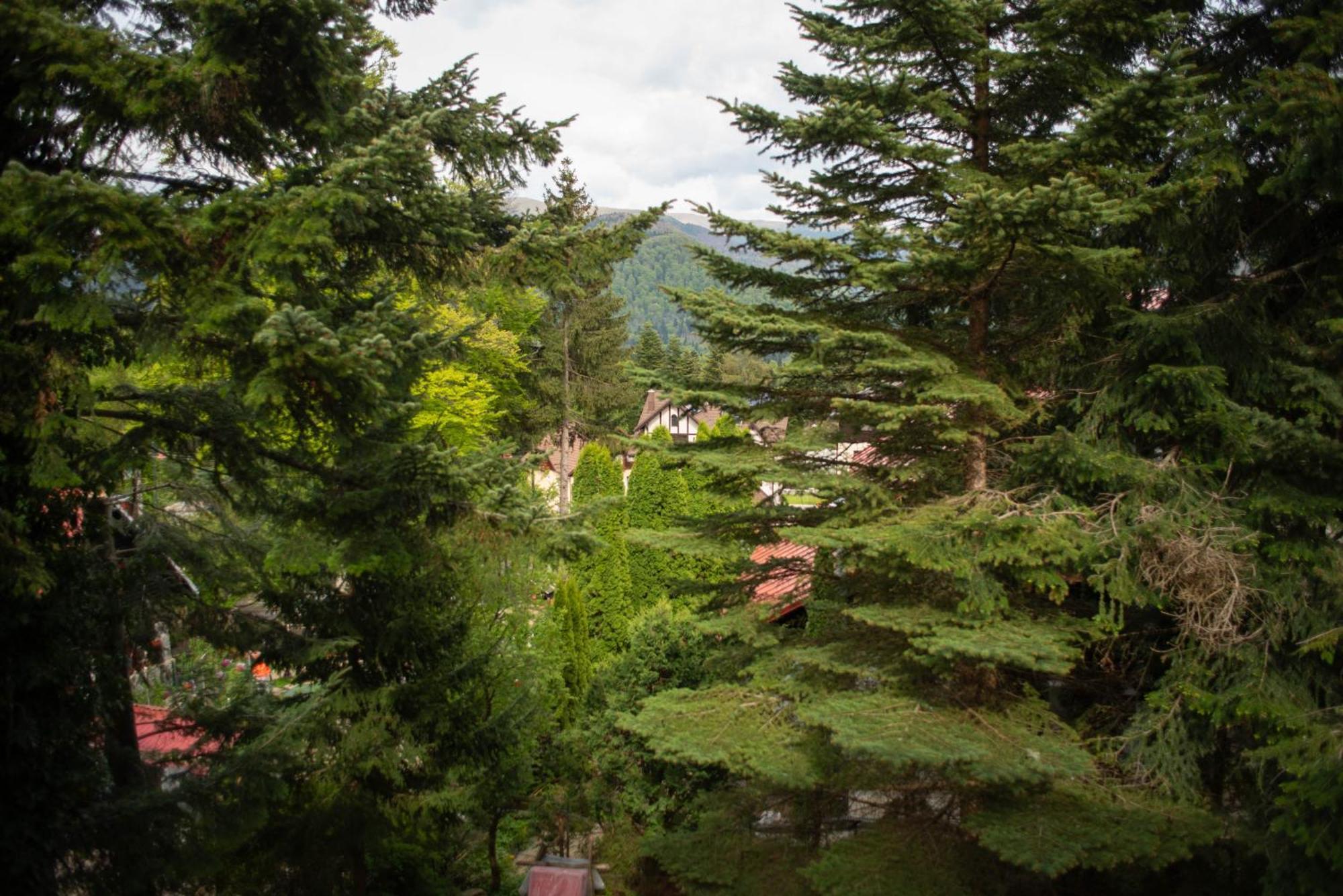 Villa Sara In Sinaia Near Peles & Gondola Ngoại thất bức ảnh